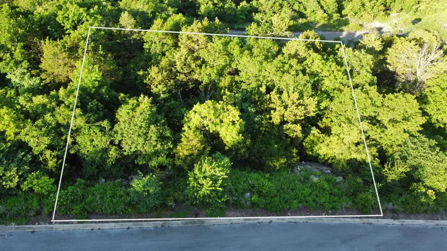 000 Shaylas Way, Hollister, MO 65672 - Image #2