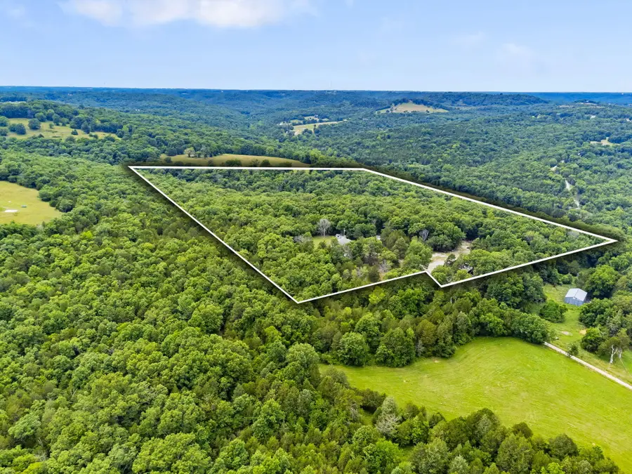 2163 Round Mountain Road, Walnut Shade, MO 65771 - Image #2