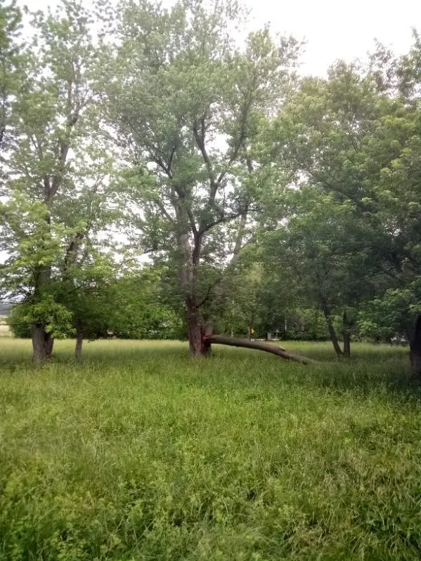 0 N State Highway H, Springfield, MO 65803