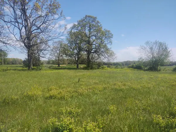 000 Lot 4, Tract 1 & Tract 2, Diggins, MO 65636