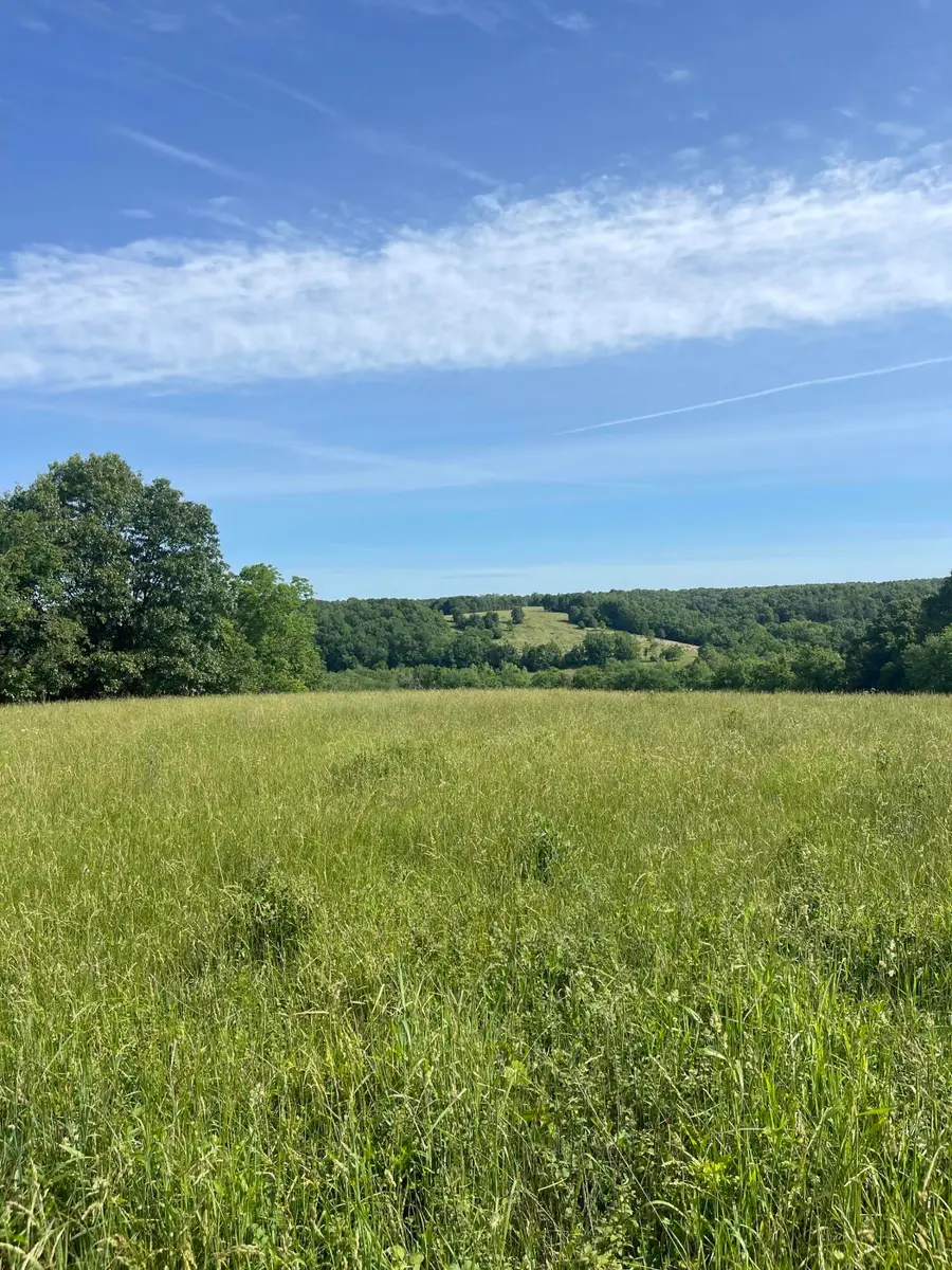 000 Hc 66 #Box 203, Sparta, MO 65753 - Image #2