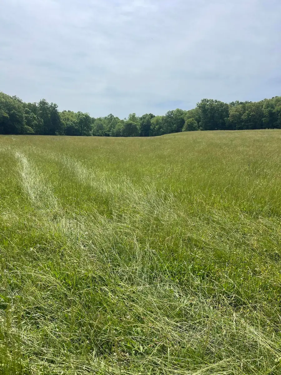 000 Hc 66 #Box 203, Sparta, MO 65753 - Image #3