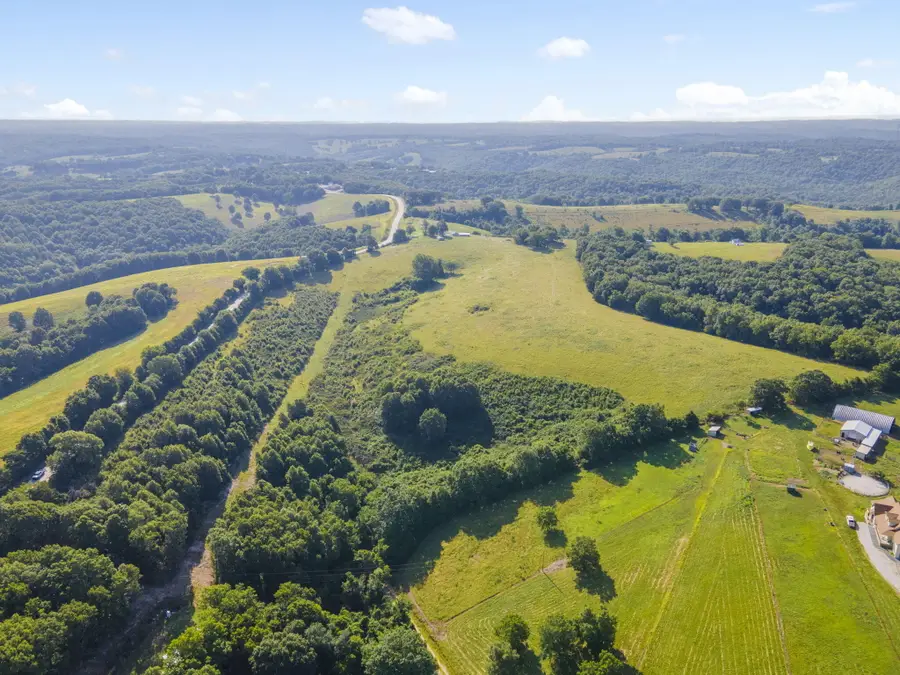 131 Mule Barn Drive, Cape Fair, MO 65624 - Image #3