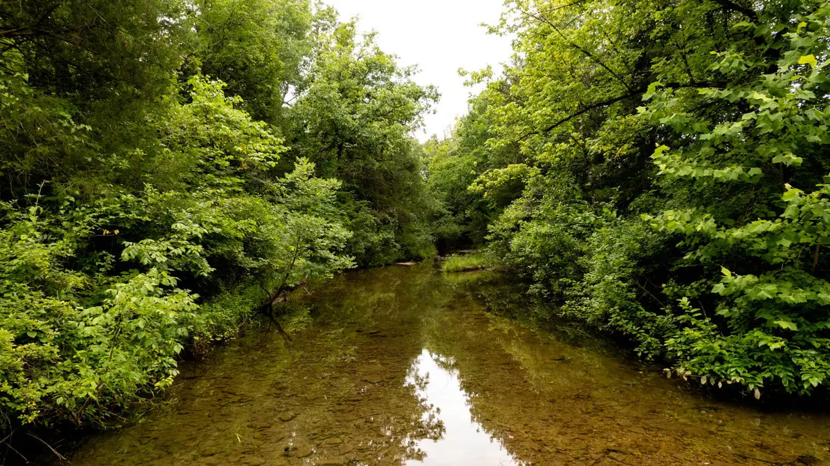 7 Asher Drive, Hardy, AR 72542 - Image #1