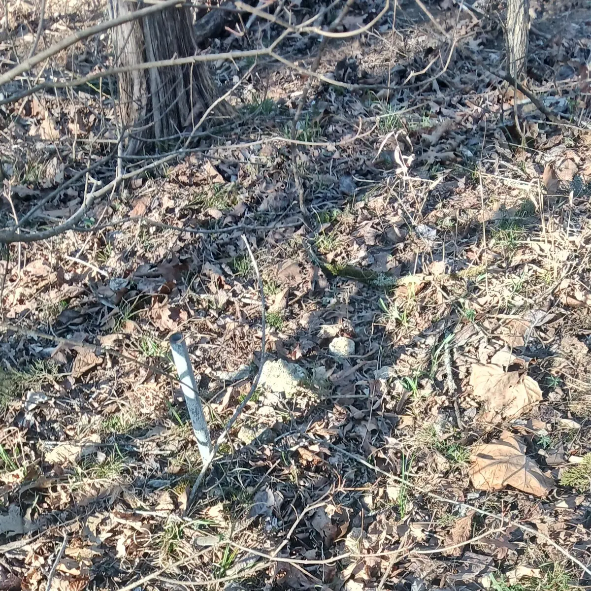 #37,38,39 000 Meadow Lane, Theodosia, MO 65761 - Image #1