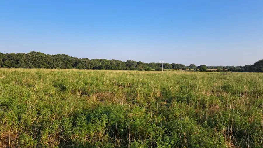 000 Johns Ford Road, Rogersville, MO 65742 - Image #2