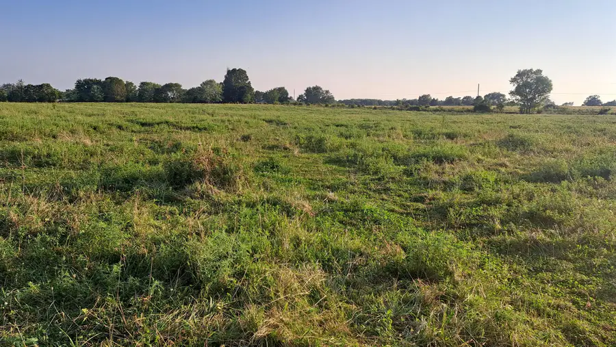 000 Johns Ford Road, Rogersville, MO 65742 - Image #3