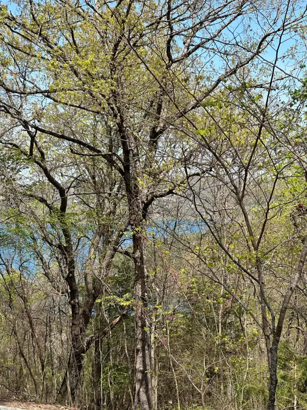 Lot 75 Country Lane, Blue Eye, MO 65611