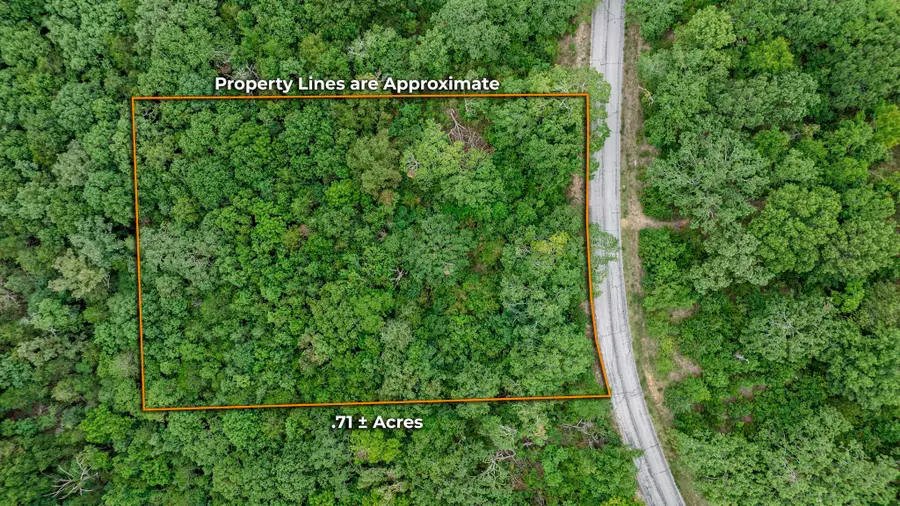 37 Mule Barn Drive, Cape Fair, MO 65624 - Image #2