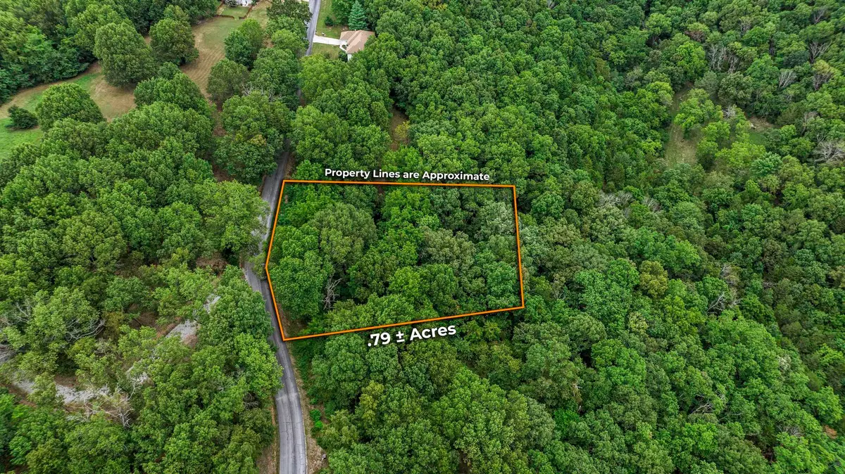 38 Mule Barn Drive, Cape Fair, MO 65624 - Image #1