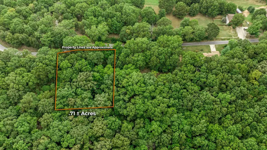 38 Mule Barn Drive, Cape Fair, MO 65624 - Image #2