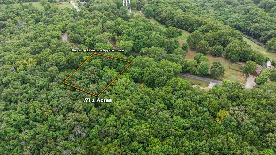 38 Mule Barn Drive, Cape Fair, MO 65624 - Image #3