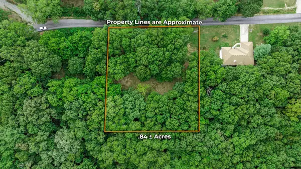 39 Mule Barn Drive, Cape Fair, MO 65624