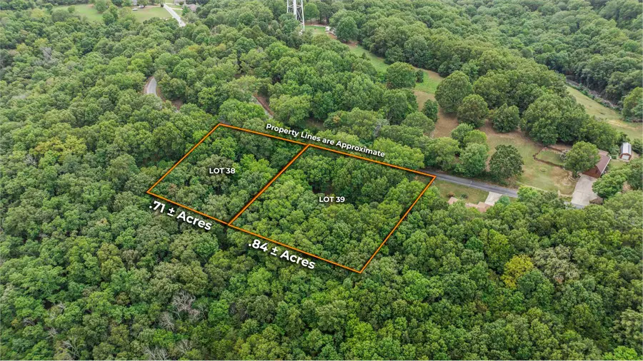 39 Mule Barn Drive, Cape Fair, MO 65624 - Image #3