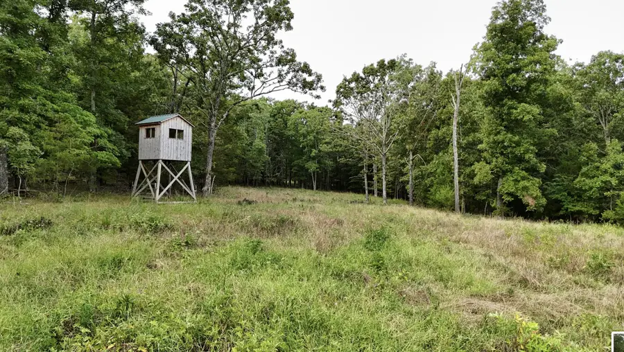 Tract 4 Route 4, Squires, MO 65755 - Image #3