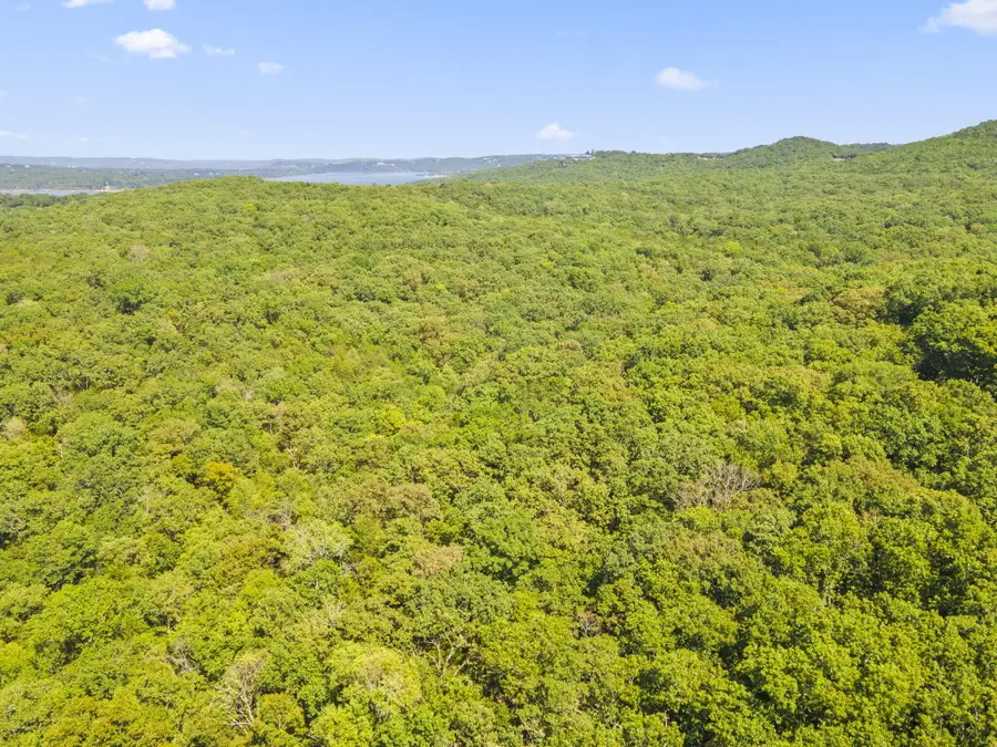 000 Falling Star Road, Lampe, MO 65681 - Image #2