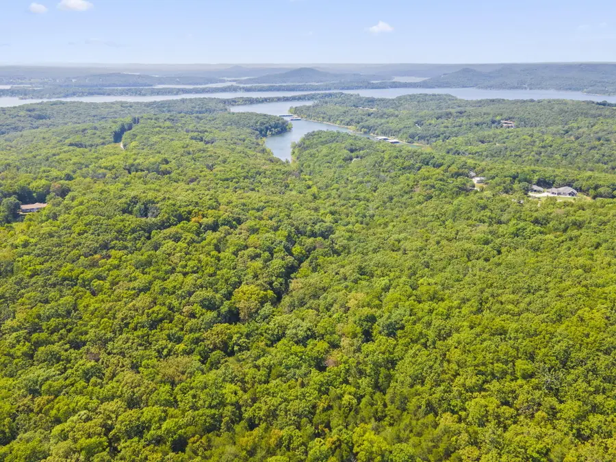 000 Falling Star Road, Lampe, MO 65681 - Image #3