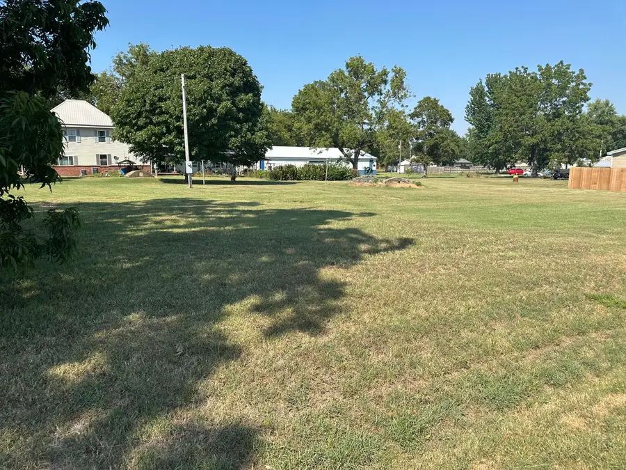 000 Spring & Elm Street, Newtonia, MO 64853 - Image #2