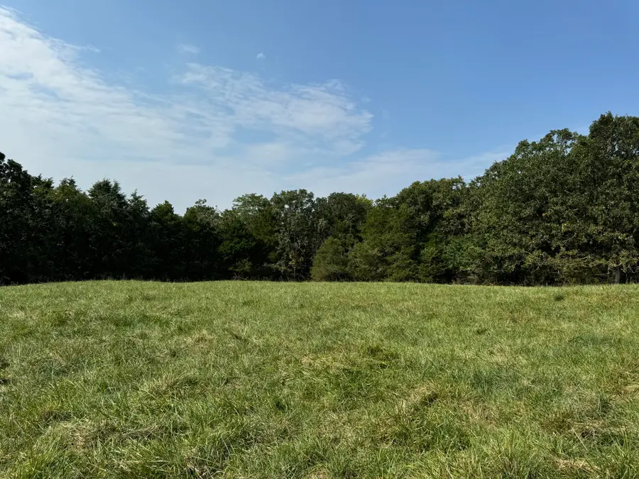 000 F Highway, Elkland, MO 65644 - Image #3