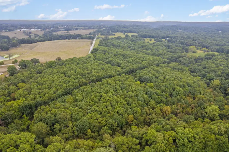 808 Coon Ridge Road, Galena, MO 65656 - Image #3