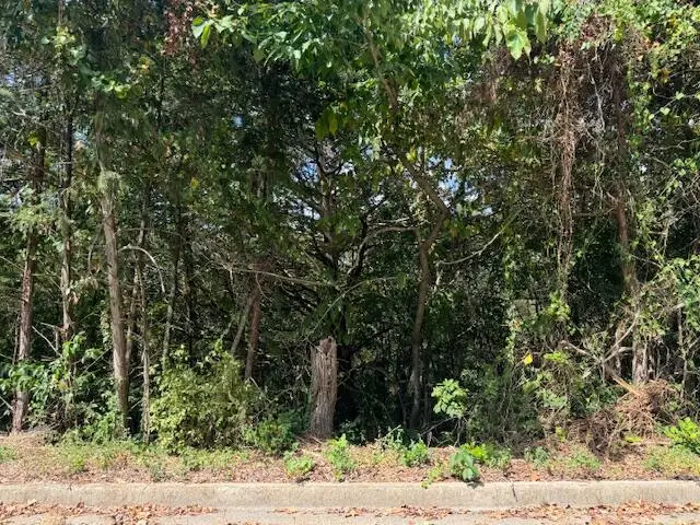 Lot 22 Rose Oneill Drive, Branson, MO 65616 - #1