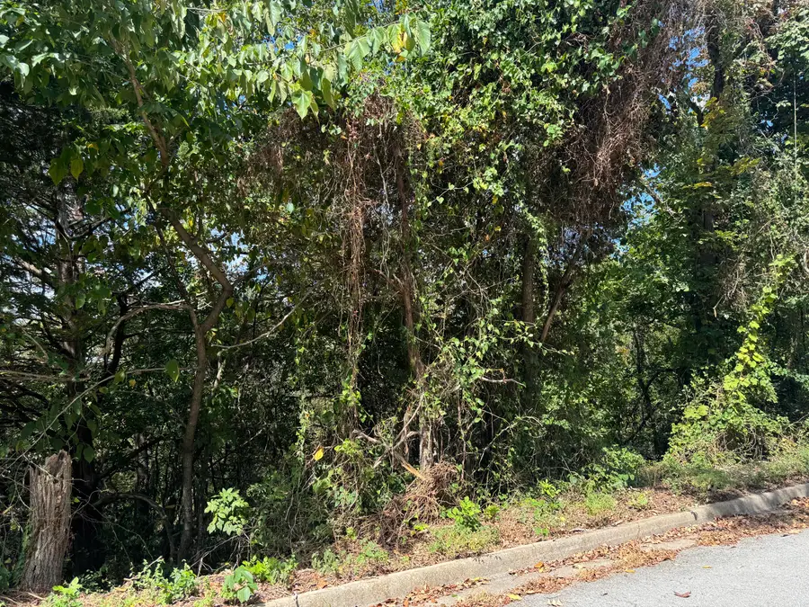 Lot 22 Rose Oneill Drive, Branson, MO 65616 - #2