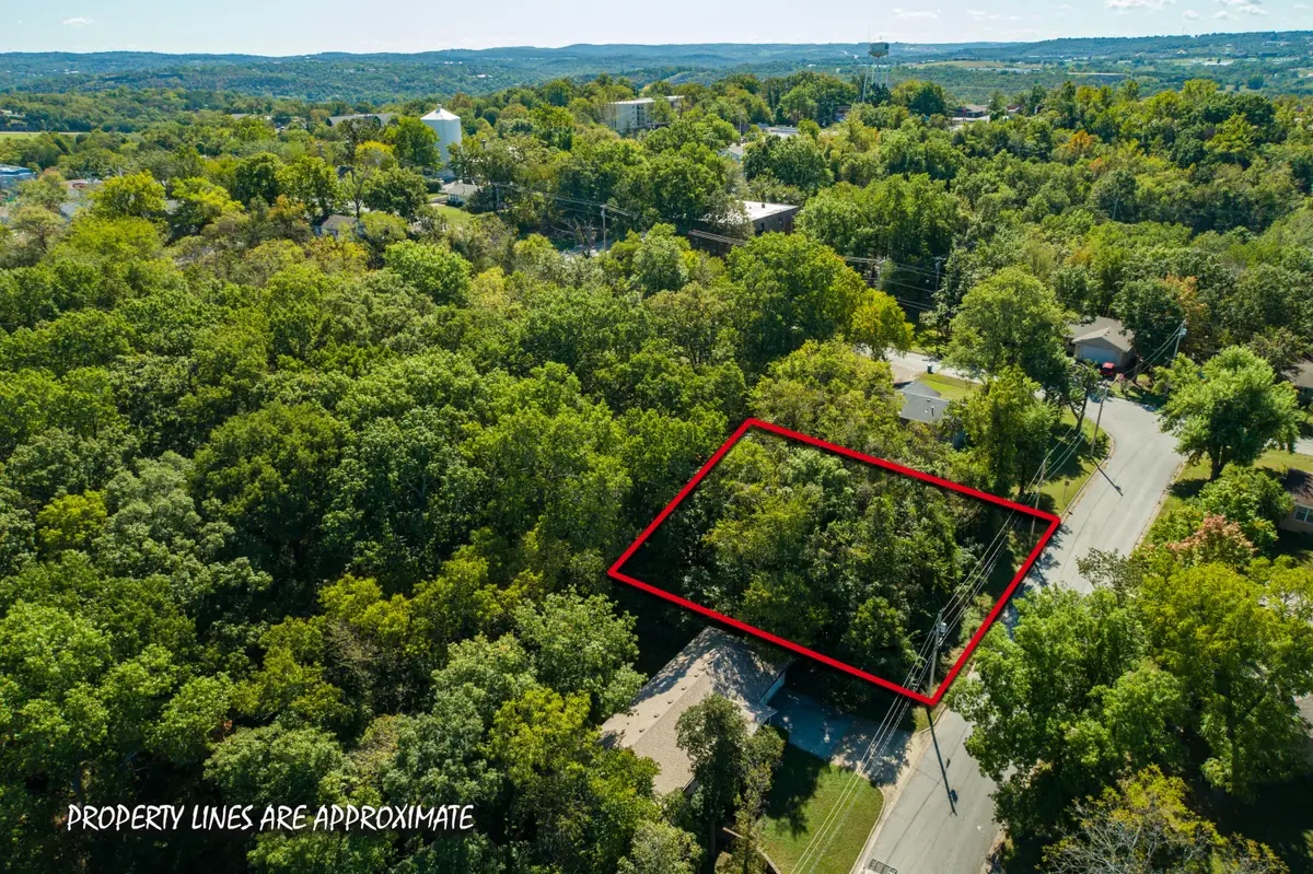 102 Hero Drive, Branson, MO 65616 - #1