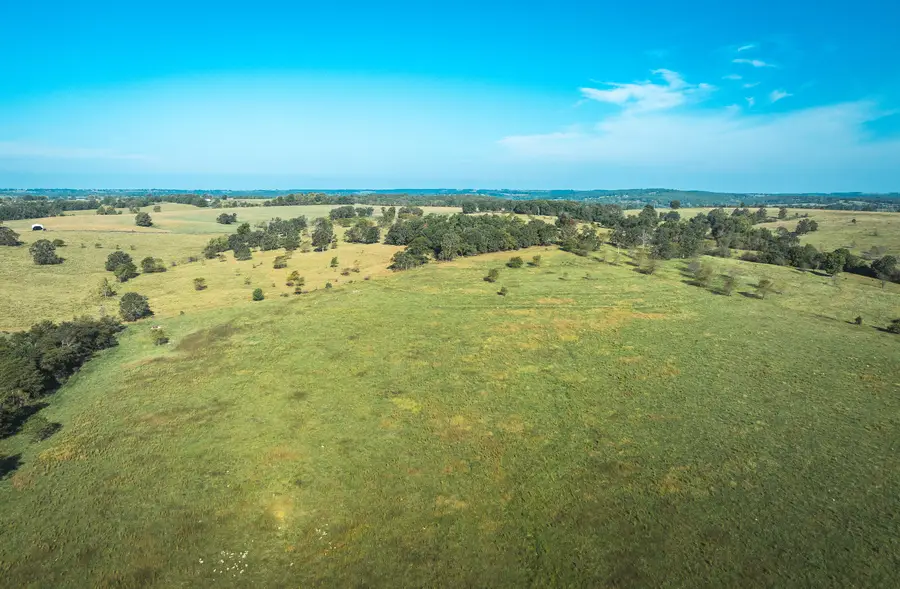 5451 Bado Road, Cabool, MO 65689 - Image #3