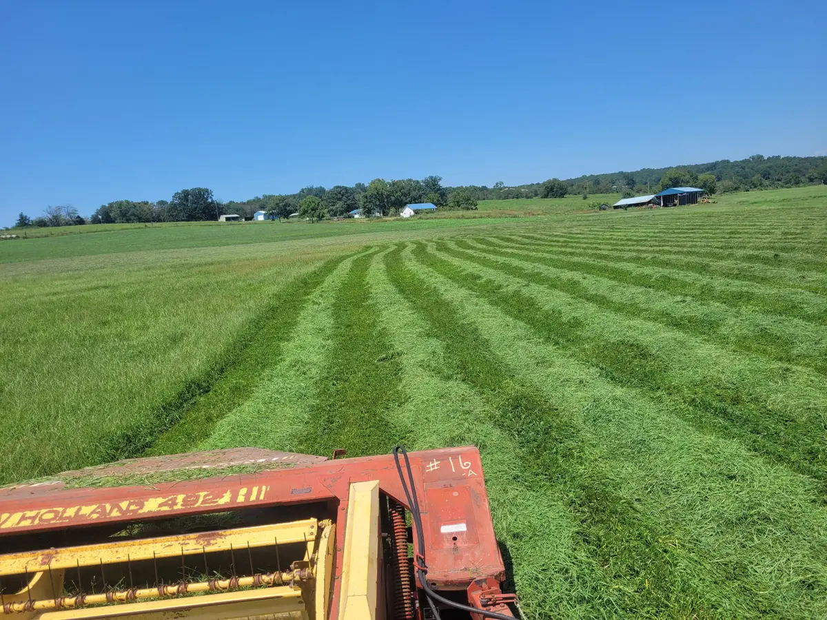 Tbd County Road 950, Squires, MO 65755 - Image #1