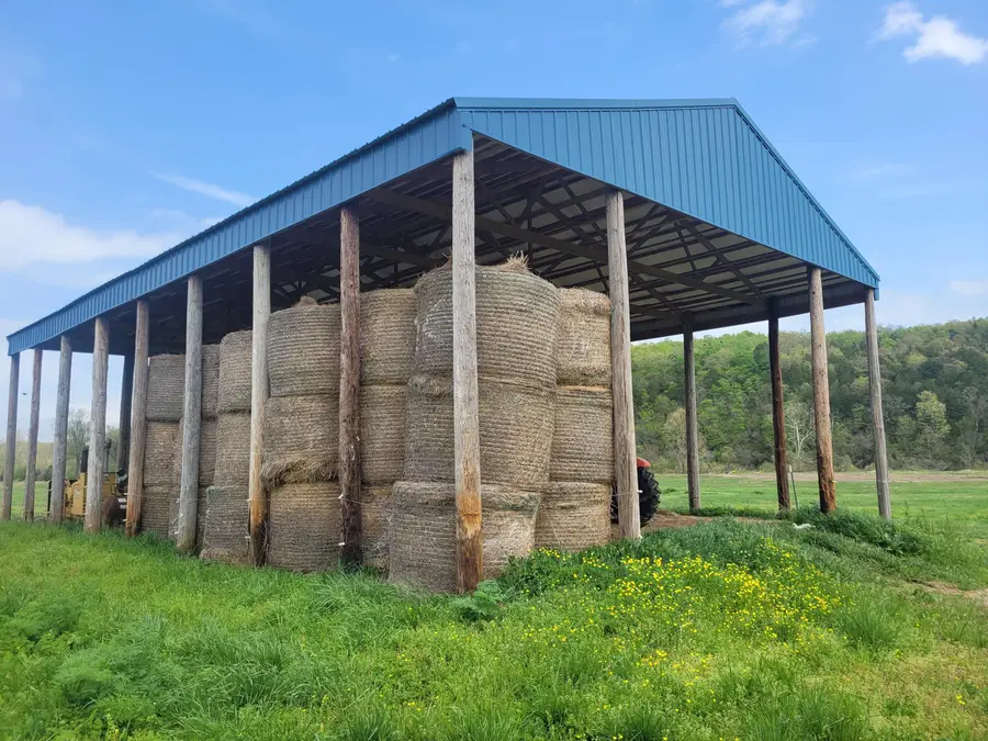 Tbd County Road 950, Squires, MO 65755 - Image #2