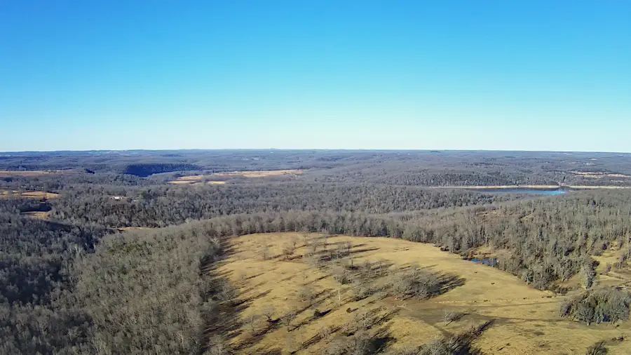 Tbd County Road 553a, Gainesville, MO 65655 - Image #3