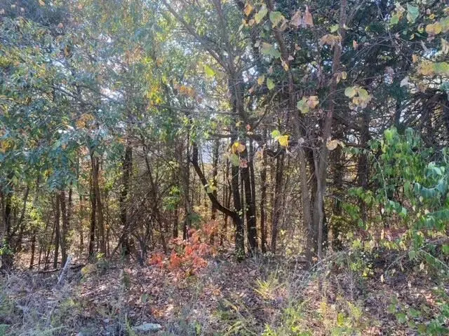 431 Crescent Drive, Hollister, MO 65672 - Image #3