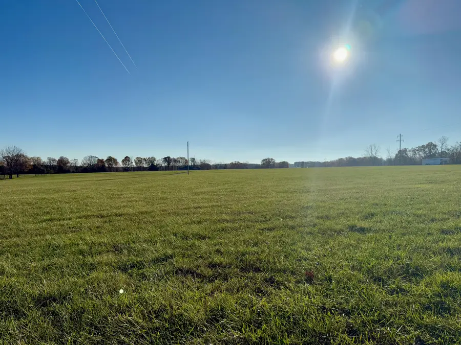 000 State Highway P, Clever, MO 65631 - Image #2