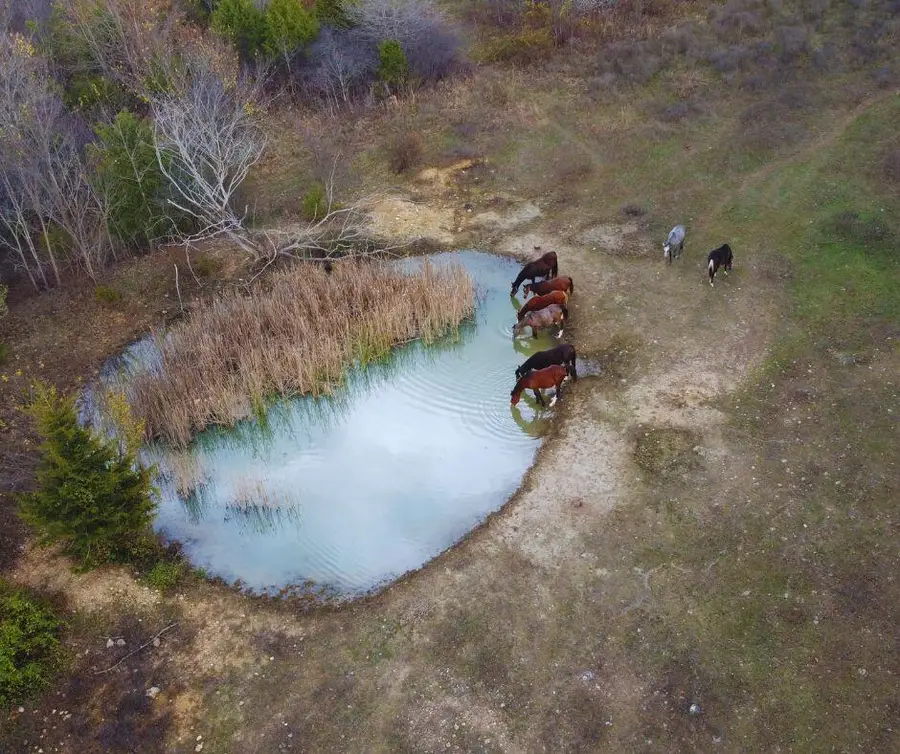 000 County Road 135, Norwood, MO 65717 - Image #3