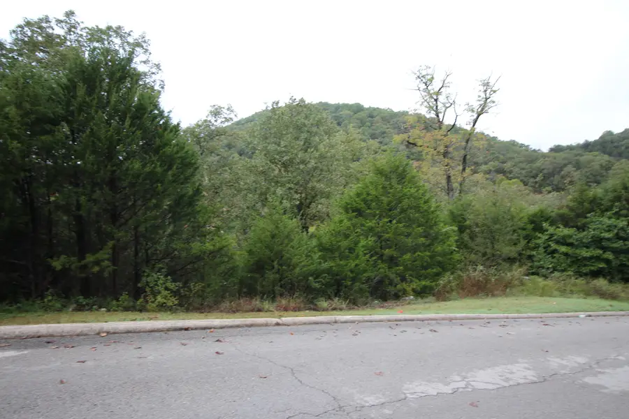 Lot 3 Silver Oak Way, Branson West, MO 65737 - Image #2