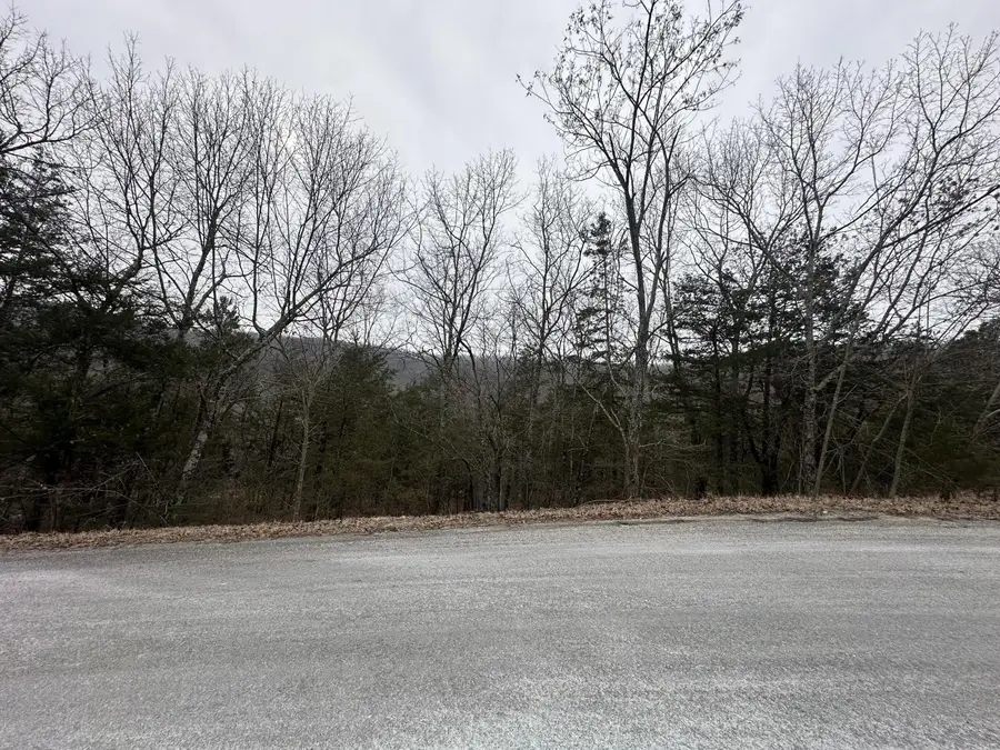 371 Pine Woods Village Drive #Lot 5, Hollister, MO 65672 - Image #2