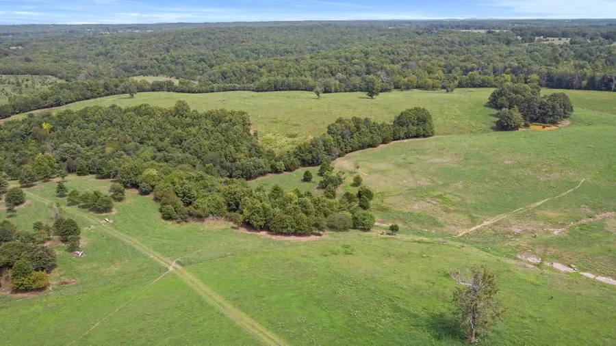 000 State Highway Ff, Caulfield, MO 65626 - Image #3