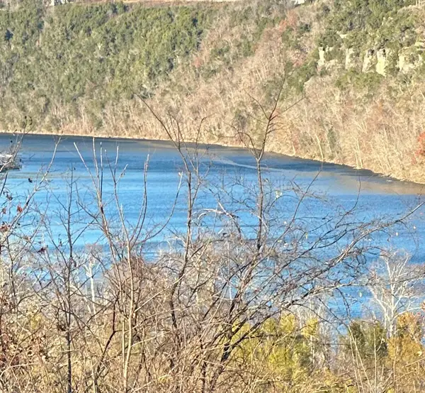 1985 Mountain Grove Road, Branson, MO 65616