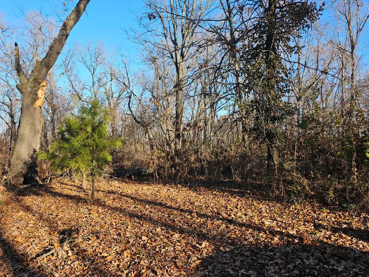 20 Ac Jesse James Road, Pineville, MO 64856 - Image #1