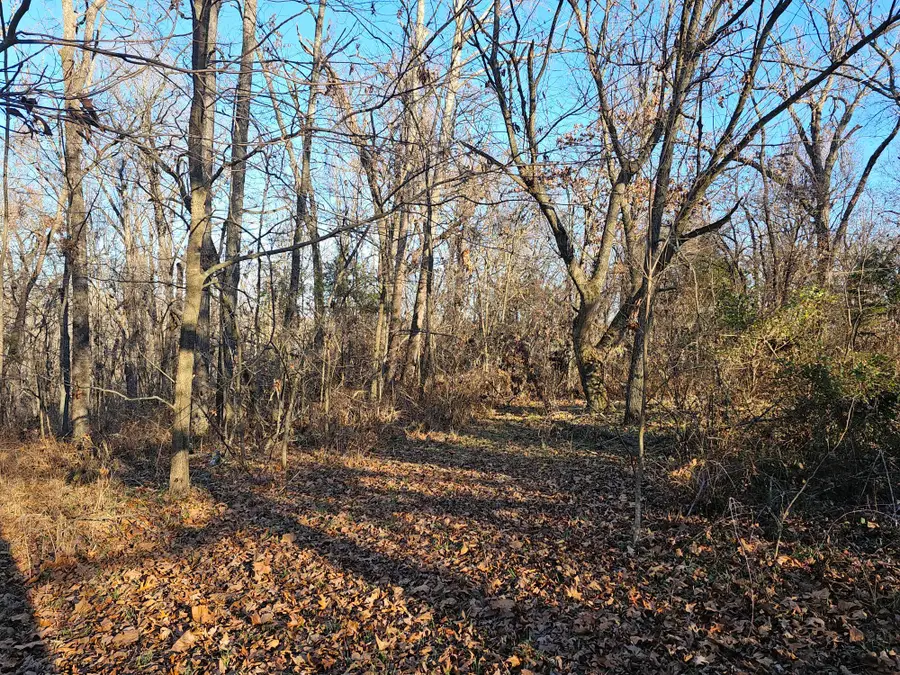20 Ac Jesse James Road, Pineville, MO 64856 - Image #3