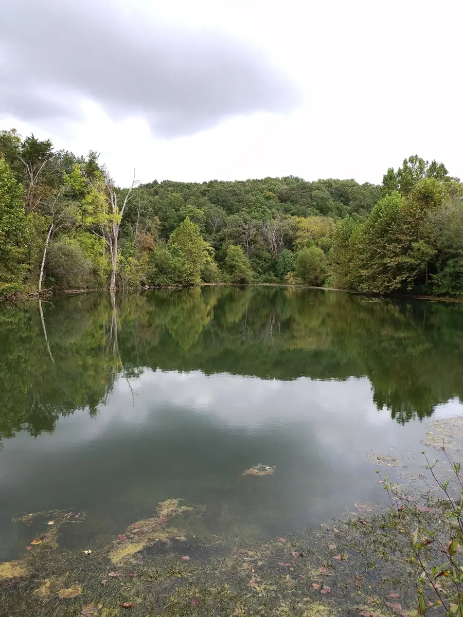 357 E Rolla Street, Hartville, MO 65667 - Image #2