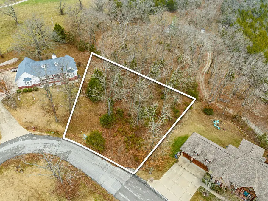 150 White Oak Circle, Walnut Shade, MO 65771 - Image #2