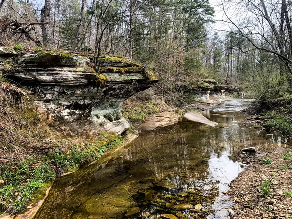 Address Withheld By Seller, Dora, MO 65637