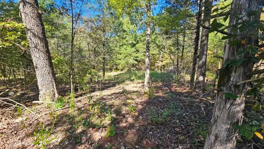 000 Rolling Hills Block 11 Lot 22, Theodosia, MO 65761 - Image #1