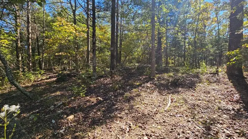 000 Rolling Hills Block 11 Lot 22, Theodosia, MO 65761 - Image #3