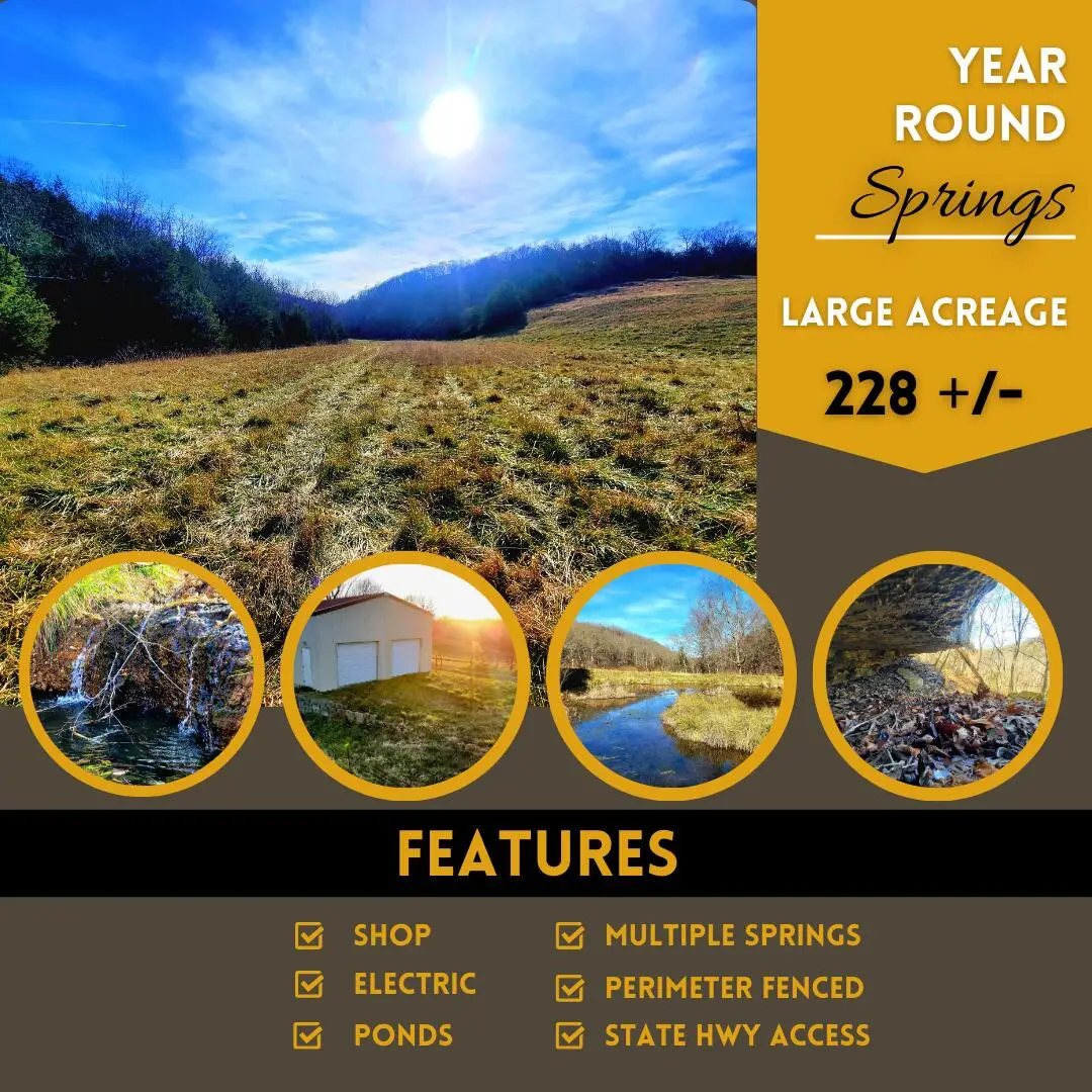 000 State Hwy 160, Reeds Spring, MO 65737 - Image #1