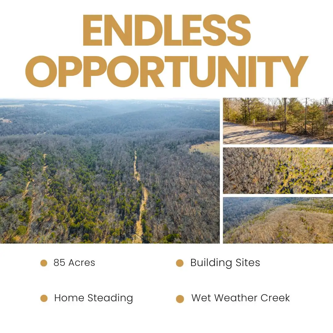 000 Burmingham Road, Forsyth, MO 65653 - Image #1