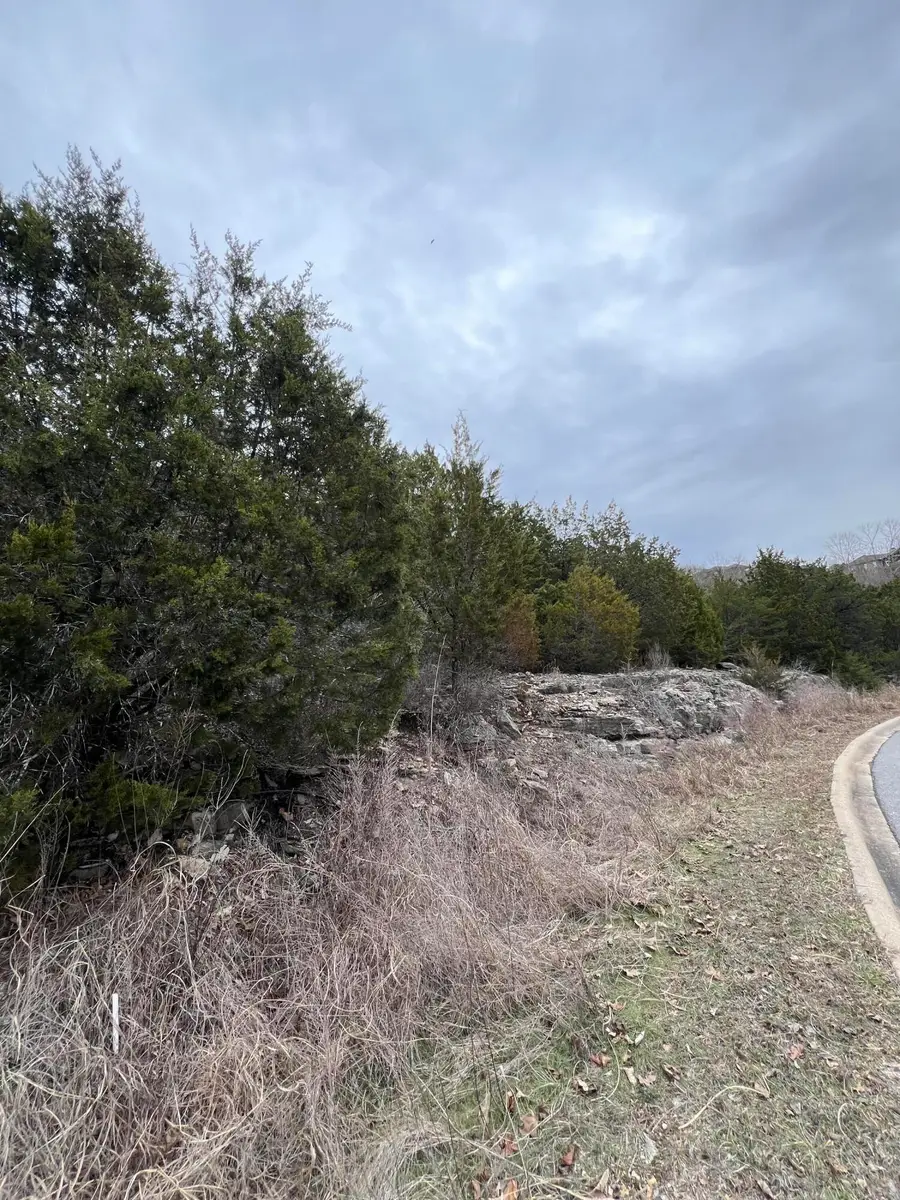 000 Crescent Drive, Hollister, MO 65672 - Image #2