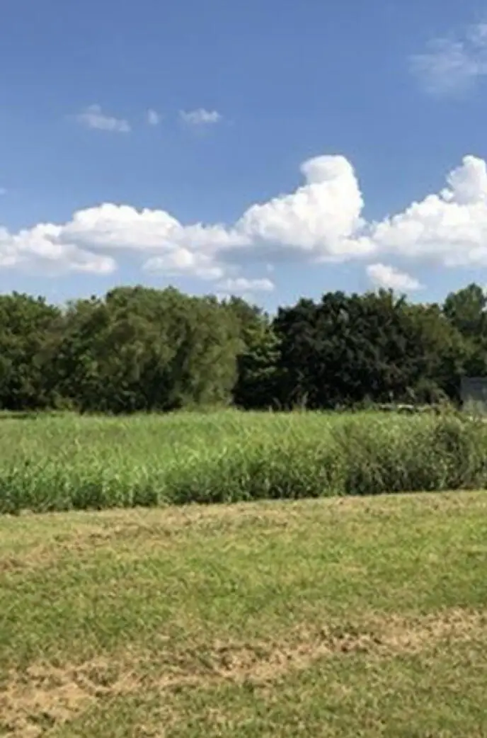 000 N Centennial Boulevard, Nevada, MO 64772 - Image #1