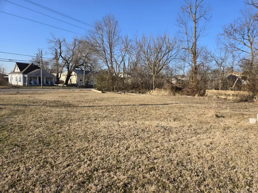 316 Summit Avenue, Cabool, MO 65689 - Image #2